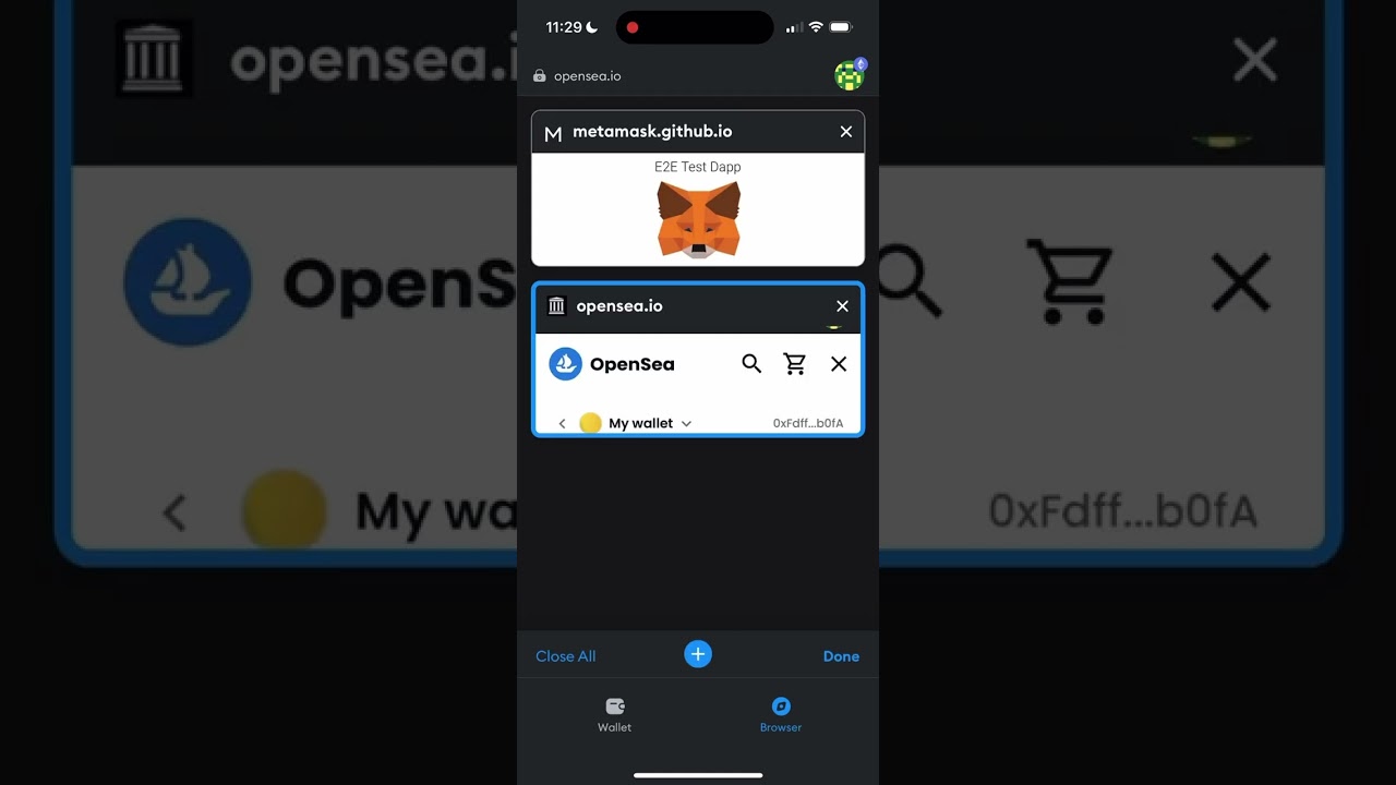 MetaMask wallet interface and Zapper dashboard